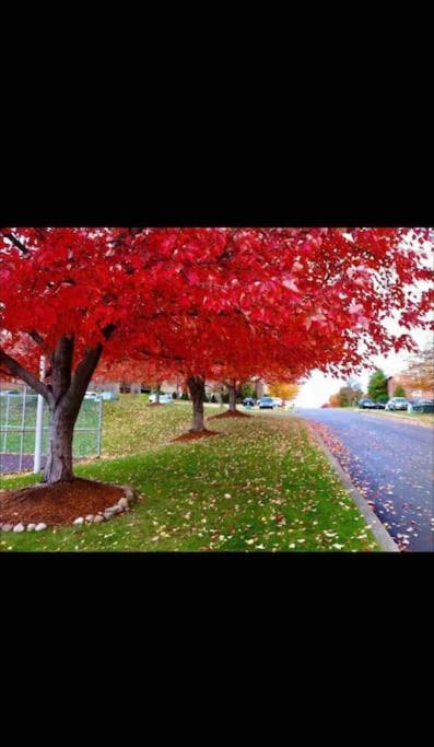Apartmán Honoray-Kes Monroeville Exteriér fotografie